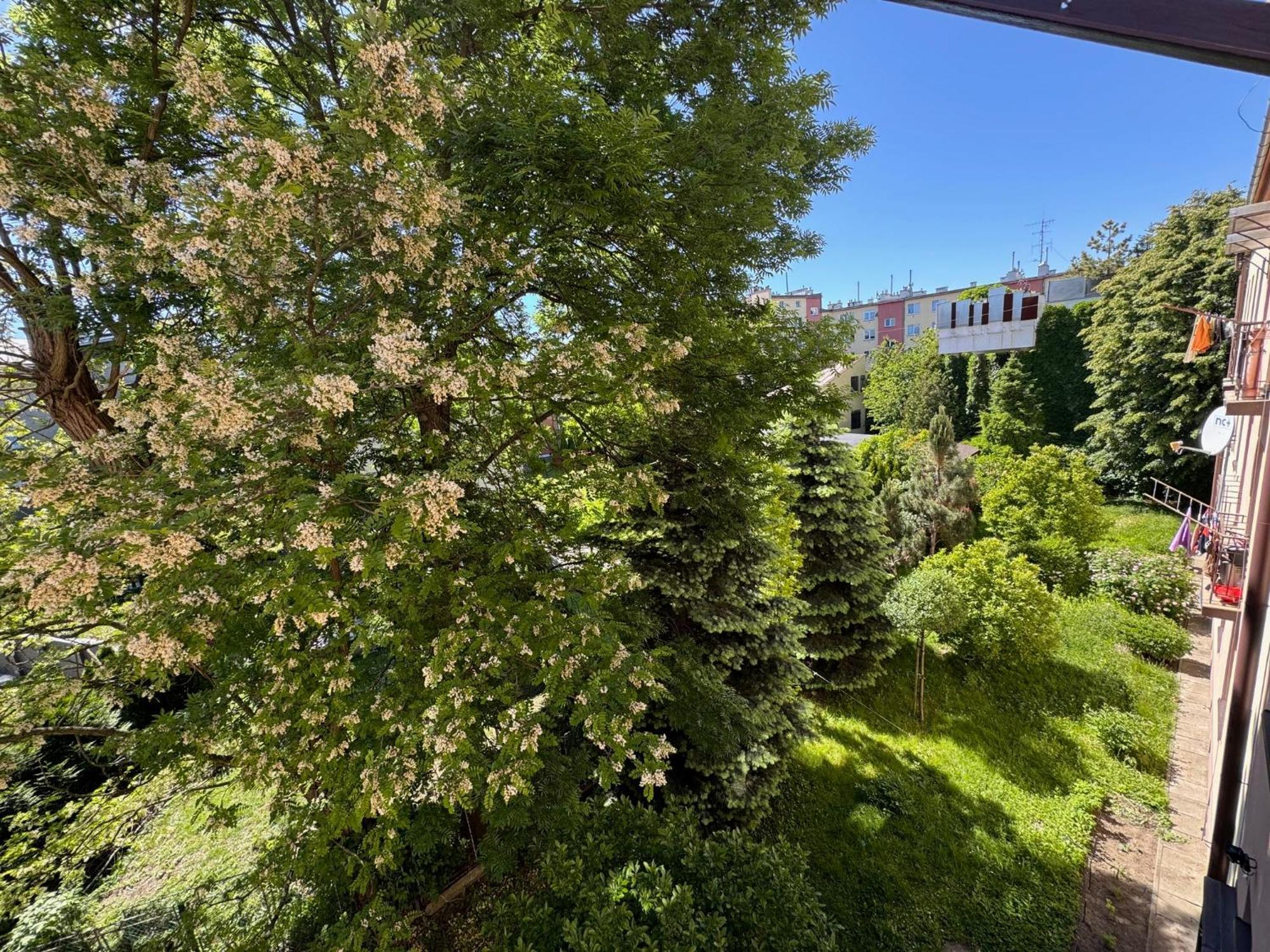 Apartament Akacja Centrum Rzeszów Esterno foto